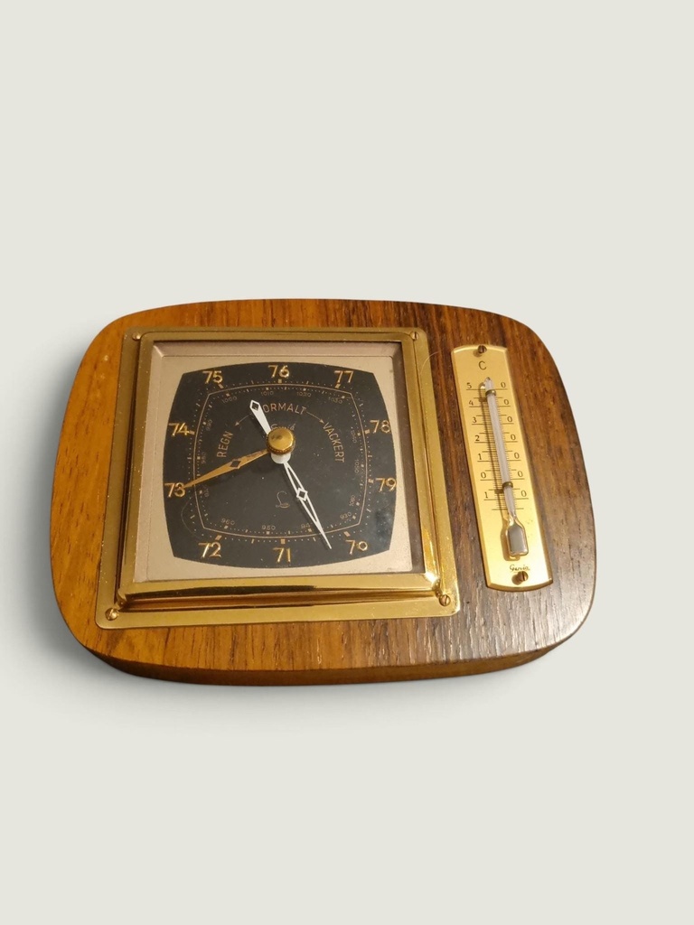[22DE89] Vintage Lufft Wall Mounted Barometer and Thermometer