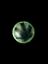 20261017_231632-Photoroom.webp